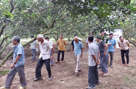 Phát triển sản xuất nông nghiệp hiện đại, xây dựng nông thôn văn minh