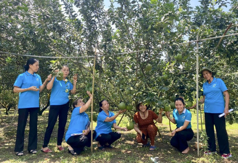 Hội LHPN xã Hiếu Liêm (huyện Bắc Tân Uyên): Tổ chức tham quan, học tập mô hình sản xuất nông nghiệp