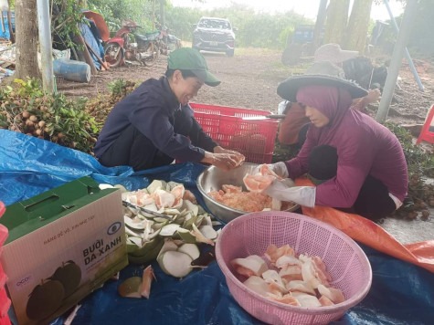 Huyện Dầu Tiếng: Khai thác thế mạnh, phát triển hài hòa, bền vững