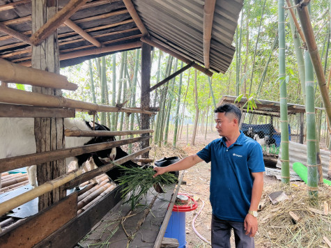 Huyện Bàu Bàng: Chú trọng đào tạo nghề cho lao động nông thôn