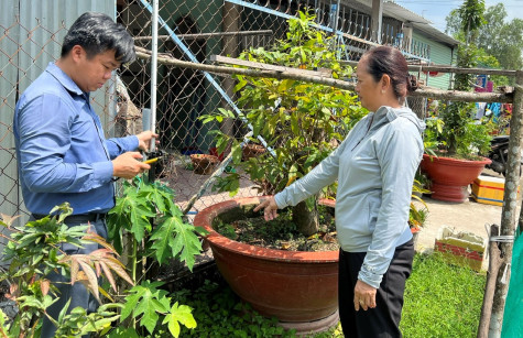 Chi nhánh Văn phòng Đăng ký đất đai TX.Bến Cát: Nâng cao hiệu quả hoạt động đo đạc, trích lục bản đồ