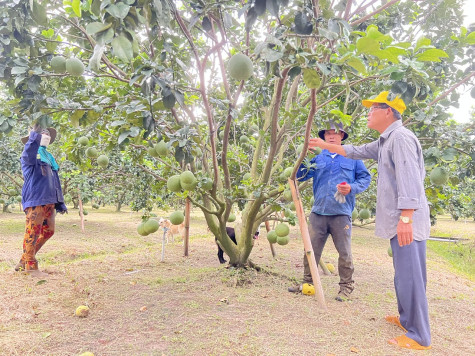 Chú trọng phát triển các sản phẩm nông nghiệp đặc trưng