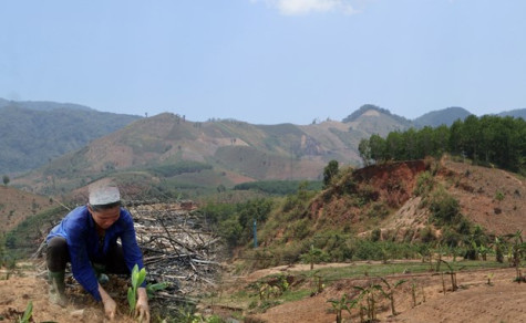 Luật Đất đai (sửa đổi): Bảo vệ, tăng quỹ đất cho đồng bào dân tộc