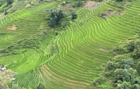 Kỷ niệm 10 năm ruộng bậc thang Sa Pa trở thành Danh thắng Quốc gia