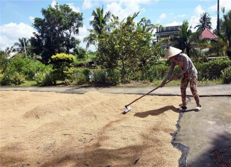 Nhiều thành phố trên cả nước có chỉ số tia UV ở mức từ cao đến rất cao