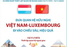 Quan hệ ngoại giao Việt Nam - Luxembourg: Phát triển trên sự chia sẻ lợi ích toàn diện