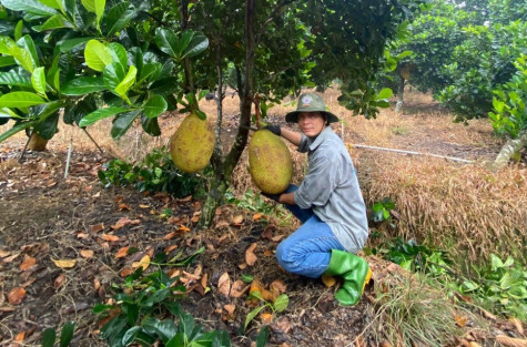 Tăng cường kiểm soát ô nhiễm môi trường khu vực nông thôn