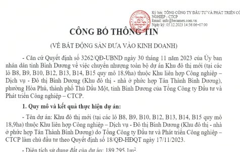 Công bố thông tin về bất động sản đưa vào kinh doanh