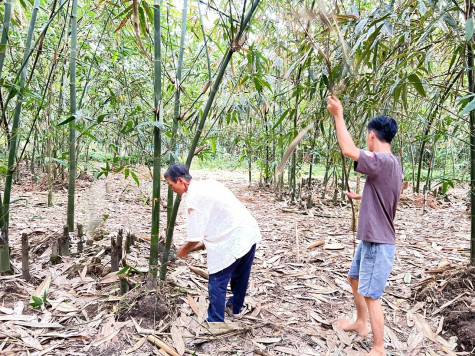 Xã Trừ Văn Thố: Trao sinh kế, tạo niềm tin