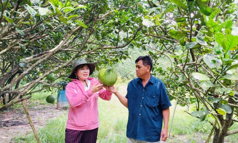 Tân Hưng vượt khó, phát triển