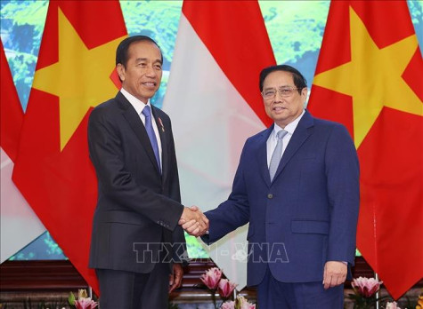 Thủ tướng Phạm Minh Chính hội kiến với Tổng thống Indonesia Joko Widodo