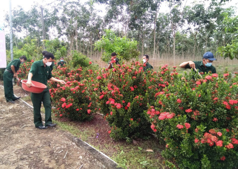 Hội Cựu chiến binh huyện Phú Giáo: Thực hiện “1 tập trung, 3 khâu đột phá”