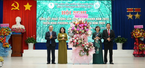 Công ty TNHH MTV Cao su Dầu Tiếng: Năm 2024 phấn đấu xuất khẩu 21.000 tấn mủ