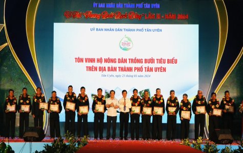 Khai mạc Lễ hội “Hương bưởi Bạch Đằng” lần III năm 2024