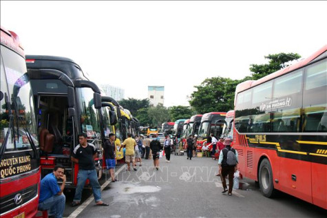 Đảm bảo đủ vé xe cho hành khách dịp Tết