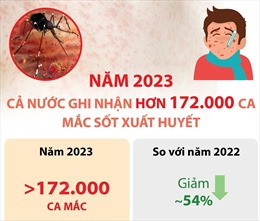 Năm 2023: Cả nước ghi nhận hơn 172.000 ca mắc sốt xuất huyết