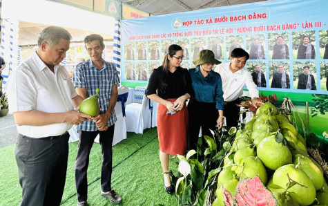 Lễ hội “Hương bưởi Bạch Đằng” lần III - năm 2024: Lan tỏa nhiều thông điệp ý nghĩa