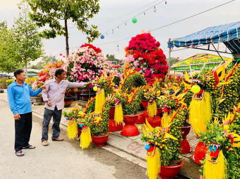 Hoa tết rộn ràng xuống phố