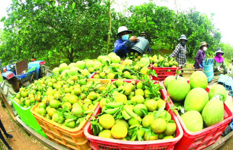 Về với những vùng quê đáng sống