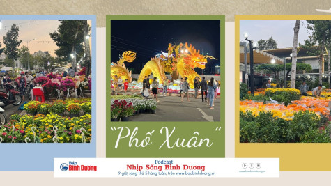 NHỊP SỐNG BÌNH DƯƠNG: Phố xuân