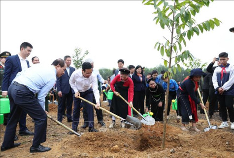 Chủ tịch nước dự Lễ phát động Tết trồng cây 'Đời đời nhớ ơn Bác Hồ'