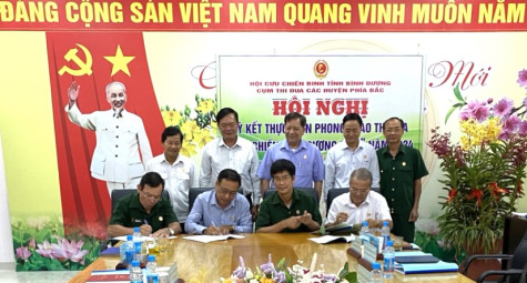 Cụm thi đua Hội Cựu chiến binh các huyện phía Bắc ký kết phong trào thi đua yêu nước