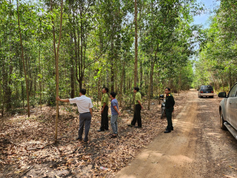 Chủ động phòng, chống cháy rừng mùa khô