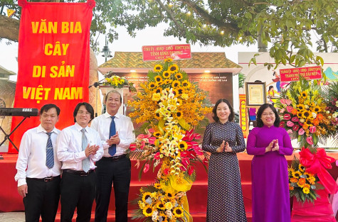 Trao quyết định công nhận cây trôm là “Cây di sản Việt Nam”