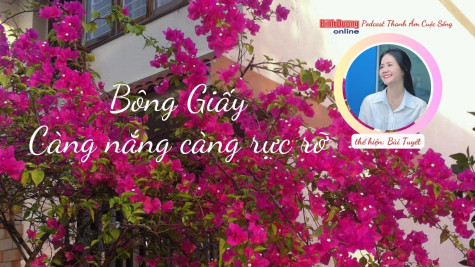 THANH ÂM CUỘC SỐNG: Bông Giấy – càng nắng càng rực rỡ…