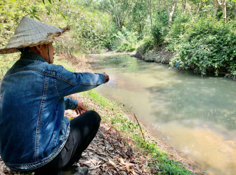 Xã An Linh, huyện Phú Giáo: Cần xử lý trang trại nuôi vịt gây ô nhiễm môi trường