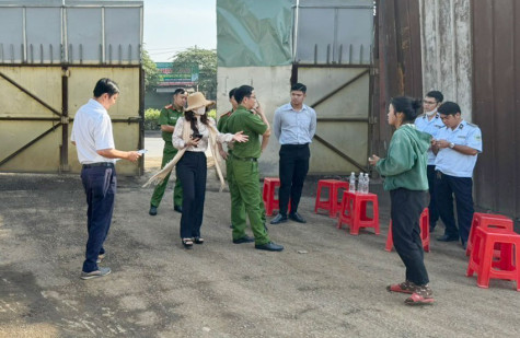 TP.Dĩ An: Kiên quyết di dời cơ sở phế liệu trong khu dân cư