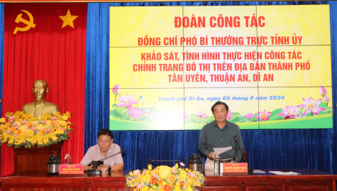 Lãnh đạo tỉnh khảo sát tình hình thực hiện công tác chỉnh trang đô thị tại một số địa phương