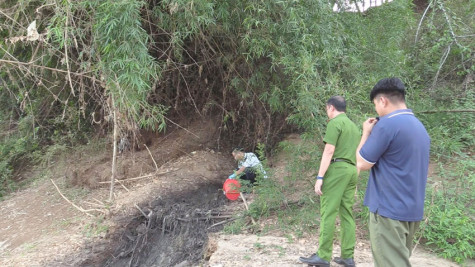 Thông tin tiếp theo vụ trang trại chăn nuôi gây ô nhiễm suối Nước Trong: Rà soát, xử lý các trường hợp vi phạm