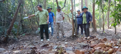 Nắng nóng kéo dài, nhiệt độ trên địa bàn Bình Dương có thể đạt 39 độ C