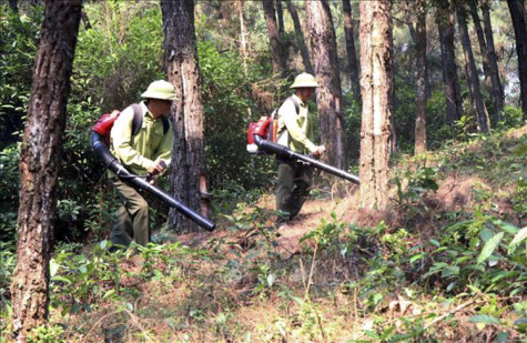 Thời tiết ngày 19-4: Nắng nóng nhiều nơi trên cả nước