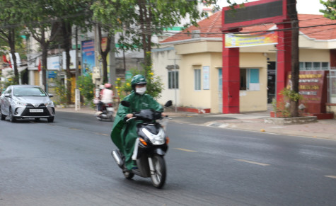 “Mưa vàng” xuất hiện một số nơi