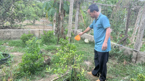 Phân loại rác thải tại nguồn kết hợp làm men vi sinh: Mô hình cần nhân rộng