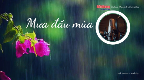 THANH ÂM CUỘC SỐNG: Mưa đầu mùa…