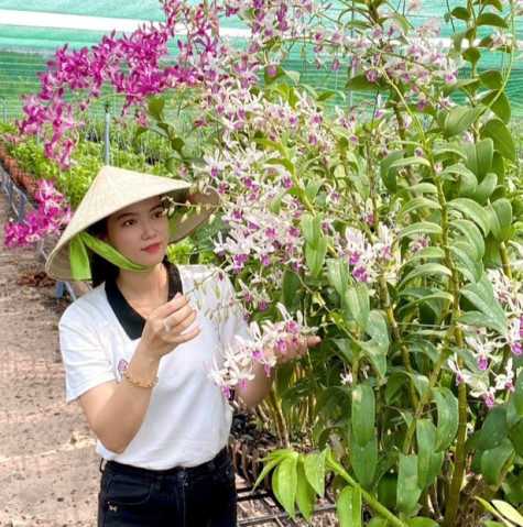 Nghệ nhân tiêu biểu toàn quốc Thạch Thị Kim Hoa: Thành công từ lòng đam mê hoa lan