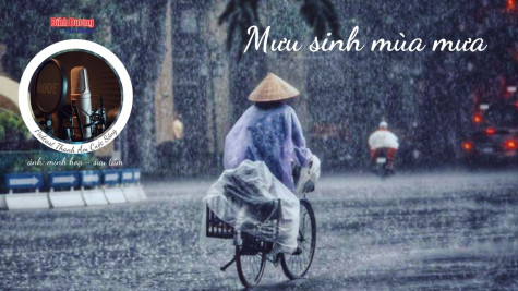 THANH ÂM CUỘC SỐNG: Mưu sinh mùa mưa