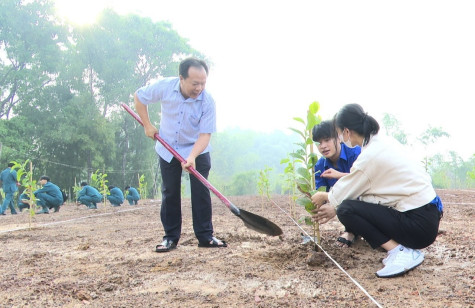 TP.Thủ Dầu Một: Cùng hành động để “phủ xanh”