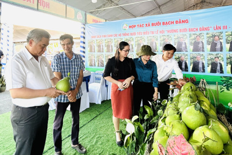 Khai thác tiềm năng, thúc đẩy du lịch phát triển