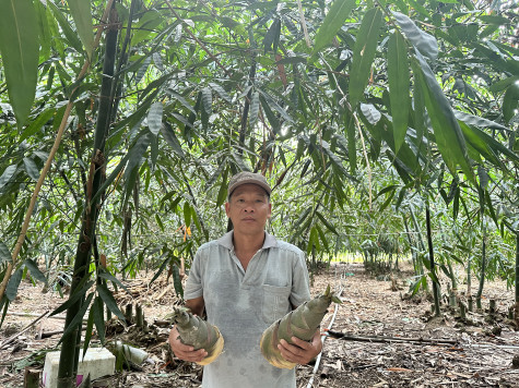 Nông dân ứng dụng khoa học kỹ thuật vào sản xuất