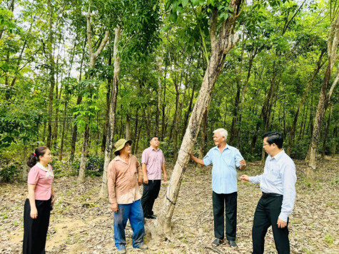 Phòng Giao dịch Ngân hàng Chính sách xã hội TP.Bến Cát: Tổ chức kiểm tra, giám sát công tác nhận vốn ủy thác