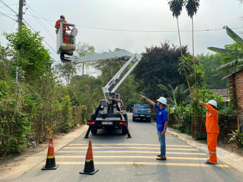 Đảng bộ Công ty Điện lực Bình Dương: Học và làm theo Bác gắn với văn hóa doanh nghiệp