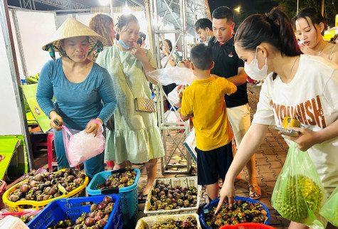 Sẽ có nhiều hoạt động hấp dẫn tại Lễ hội “Mùa trái chín” năm 2024