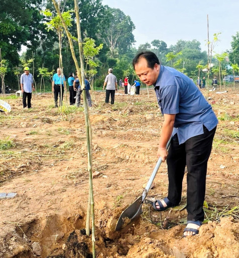 Xã hội hóa thực hiện hoa viên chuyên đề  “Cây cẩm lai”