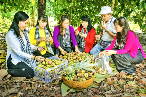 Lễ hội “Mùa trái chín” năm 2024: Cơ hội quảng bá vùng đất, con người Bình Dương