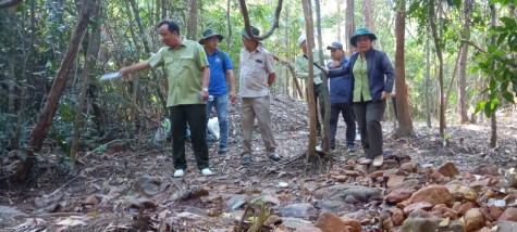 Bảo vệ rừng gắn với bảo tồn đa dạng sinh học