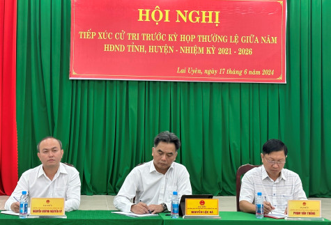 Cử tri đề nghị tăng cường giám sát việc thực hiện các dự án